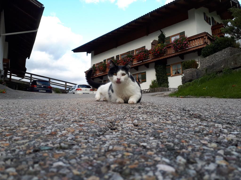 Gaestehaus Pfnuerlehen Berchtesgaden Exteriör bild